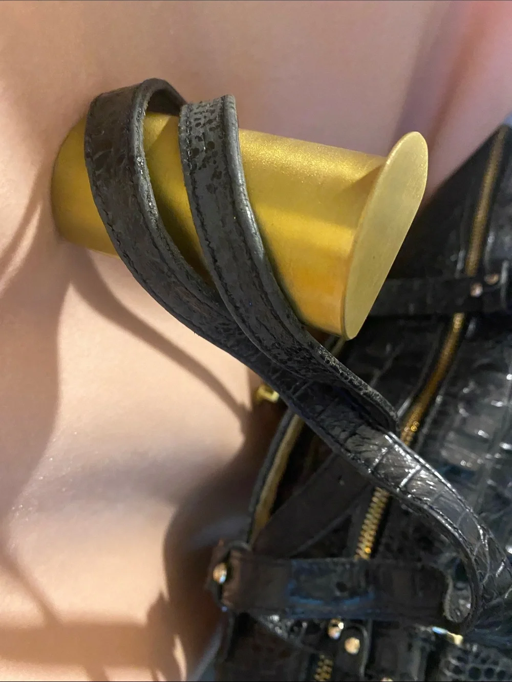 Brahmin structured croc